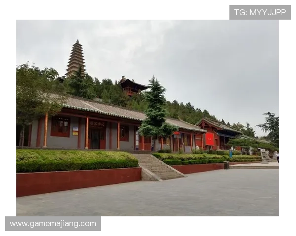 兴发真人：揭秘真人秀中的真实情感与人物背后的动人故事