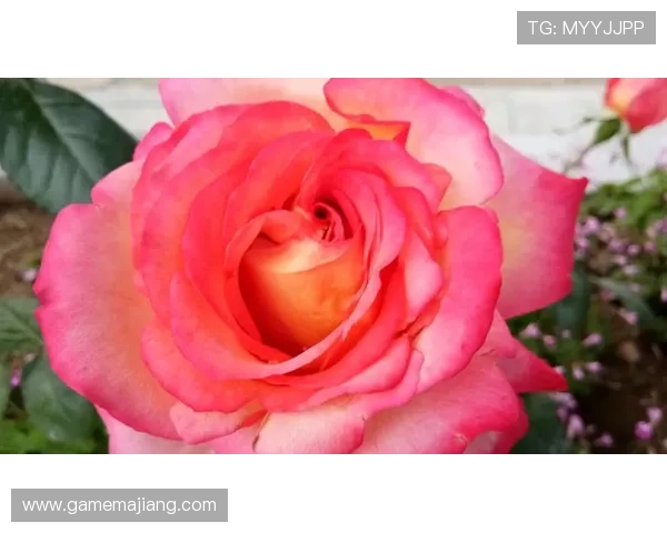 凯发娱网址是什么,官方入口地址更新及访问安全注意事项 凯发娱网址是什么,官方入口地址更新及访问安全注意事项